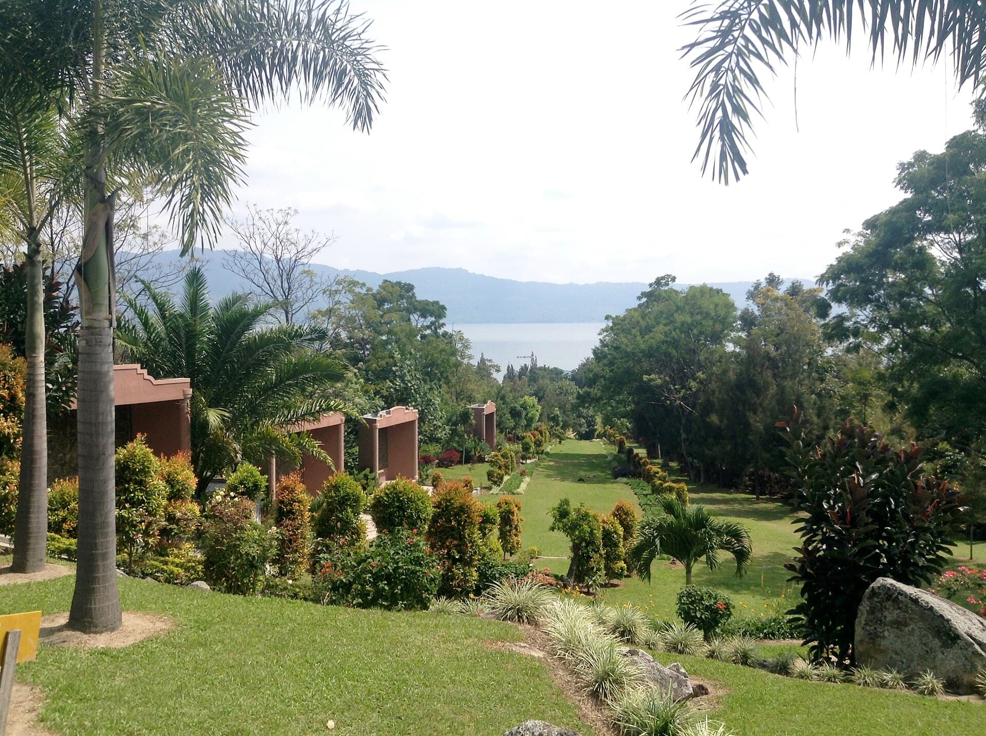 Rives luxuriantes du lac Toba à Sumatra Nord, palmiers au premier plan